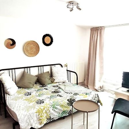 Studio Coquet Avec Vue Sainte-Foy-lès-Lyon 외부 사진