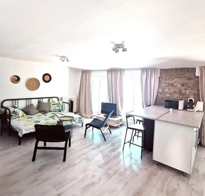 Studio Coquet Avec Vue Sainte-Foy-lès-Lyon 외부 사진